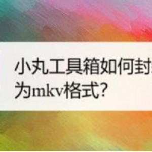 小丸工具箱236版 有视频剪辑 字幕添加等功能内附使用教程