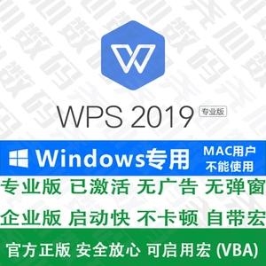 WPS专业版